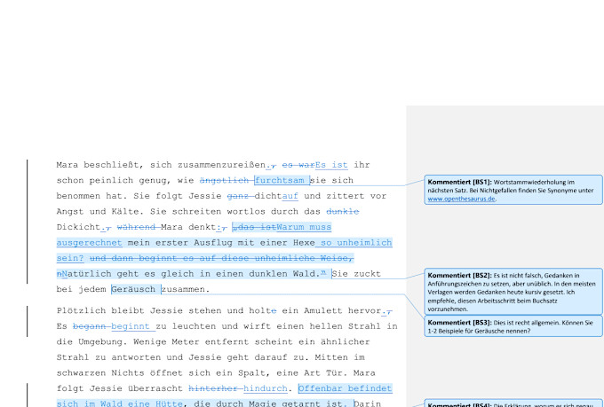 edit your german fictional book or ebook